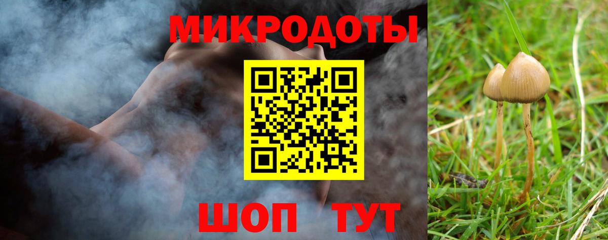 Псилоцибиновые грибы Cubensis  Псилоцибиновые грибы MAGIC MUSHROOMS  Вход с VPN  Волжский 